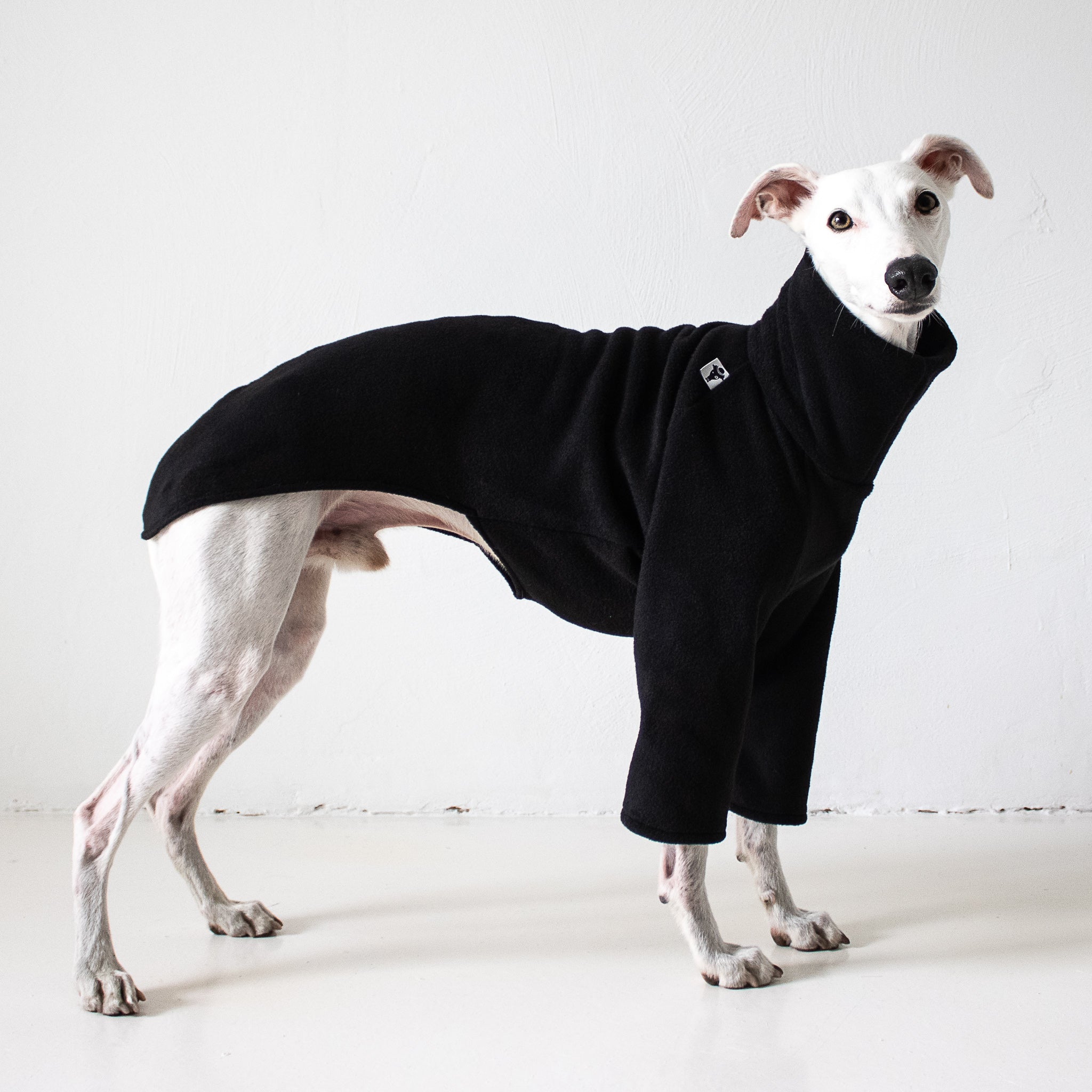 Whippet Pullover