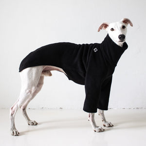 Whippet Pullover