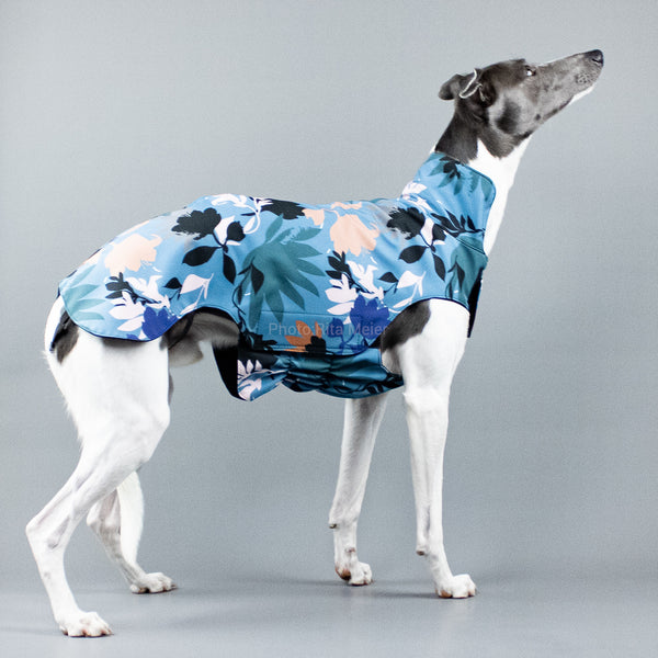 City Breeze dog raincoat™ WHIPPET Raincoat Summer Storm