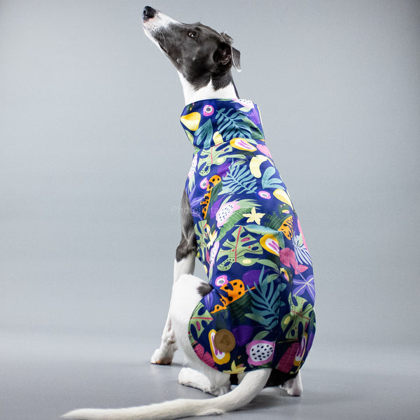 City Breeze dog raincoat™ WHIPPET raincoat Fruity 