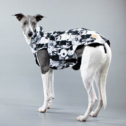 City Breeze dog raincoat™ WHIPPET Raincoat Monster