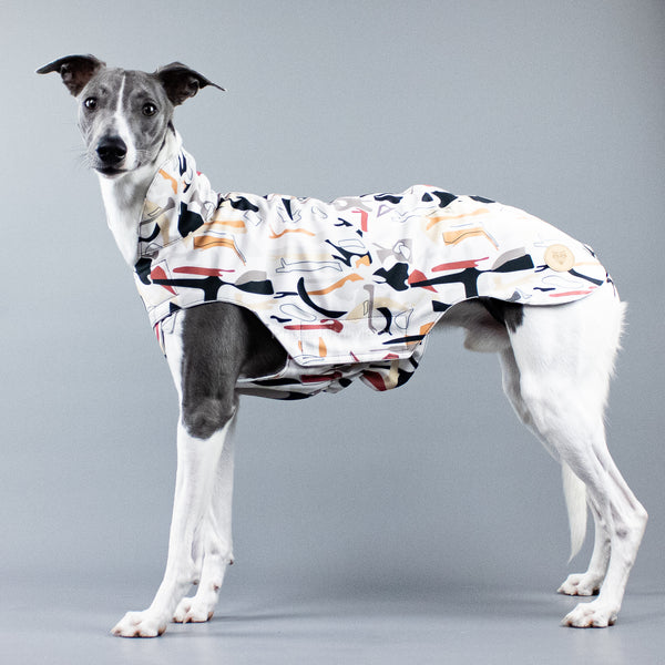 City Breeze dog raincoat™ WHIPPET raincoat Savannah