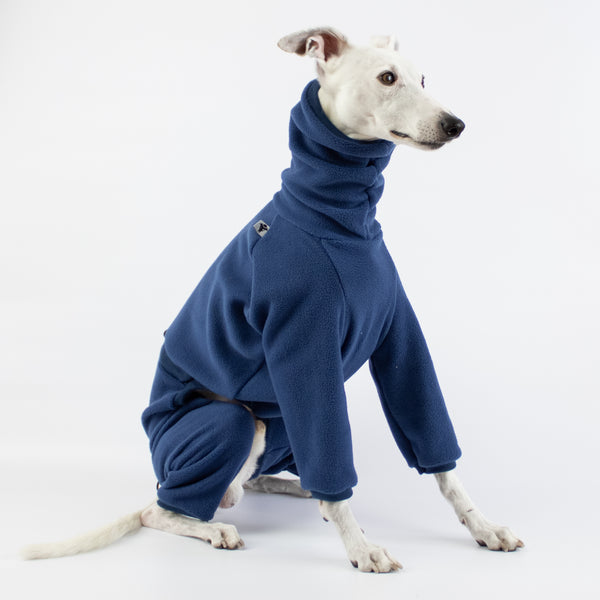 Whippet Bekleidung
