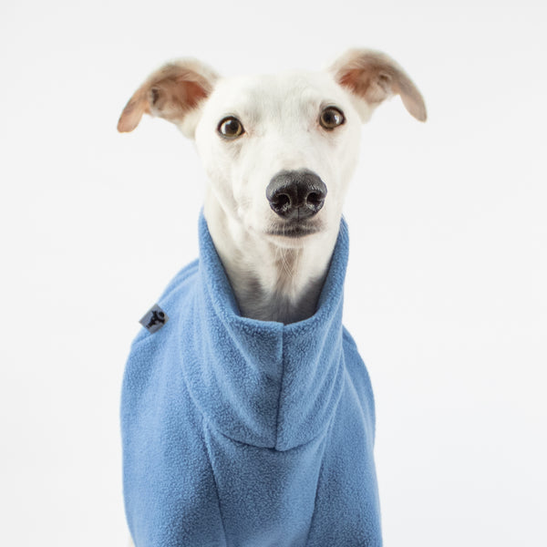 Whippet Clothes