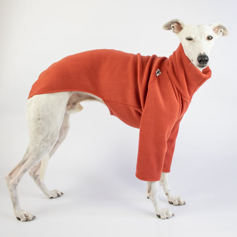 Whippet Sweater