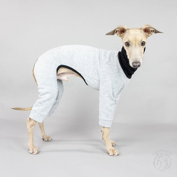 Italienisches Windspiel IGGY Pullover Hundekleidung
