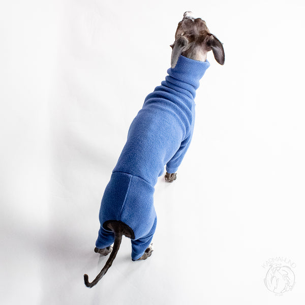 Italienisches Windspiel Hund Kleidung Pullover