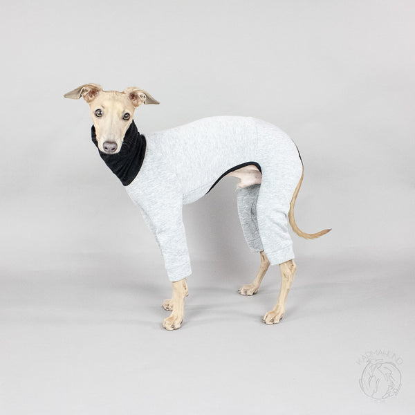 Italienisches Windspiel Sweat Overall Hund Kleidung