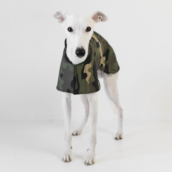 Easy On Everyday Coat for Whippets Olive Camouflage 