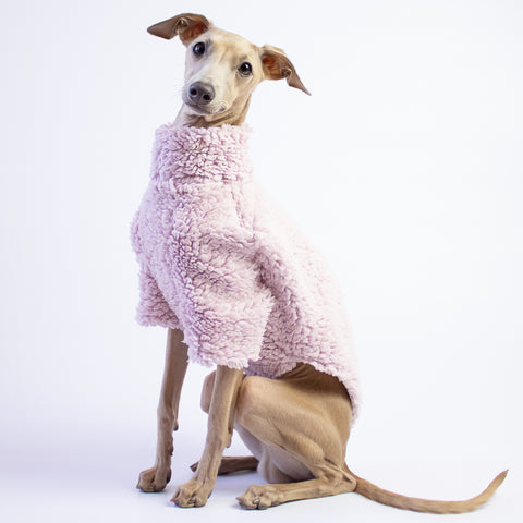 italian greyhound pullover