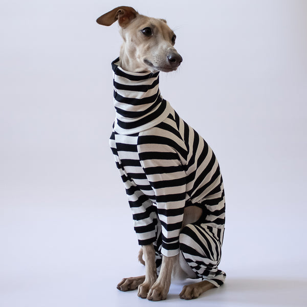 Italian greyhound clothing